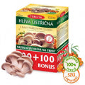 Terezia Company Hliva ustricová s rakytníkovým olejom 100 + 100 kapsúl