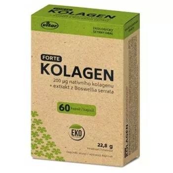 VITAR EKO Kolagén forte 60 kapsúl